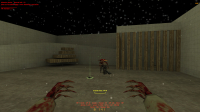 CS 1.6 with servers